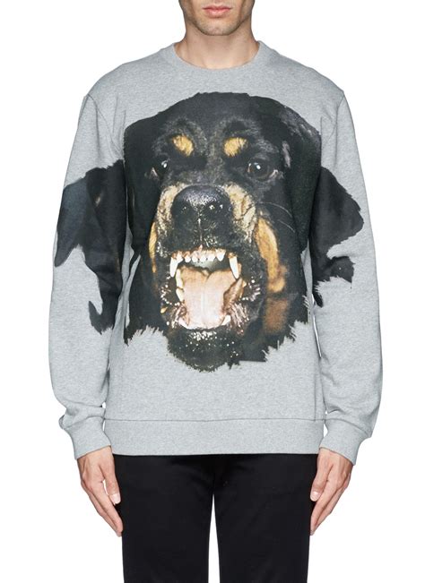 givenchy rottweiler sweatshirt grey|Givenchy hdg t shirt.